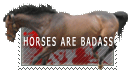 Horses are BADDASS